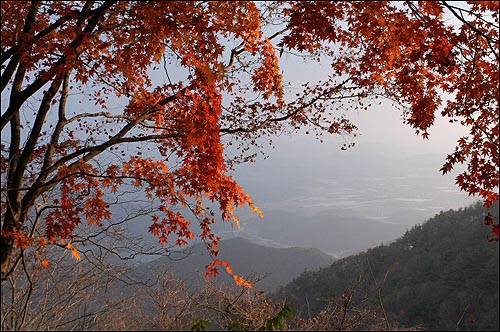 만산홍엽의 산 그림자가 호수에 잠겨 온통 물빛을 벌겋게 물들여 놓았던 단풍. 